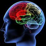 My Story - After a Stroke 